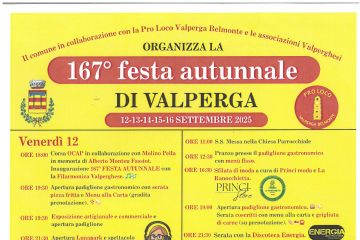 Locandina Festa
