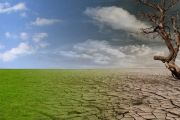 SEGNALAZIONE DANNI ALLE PRODUZIONI AGRICOLE