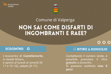 Raccolta di RIFIUTI INGOMBRANTI e RAEE